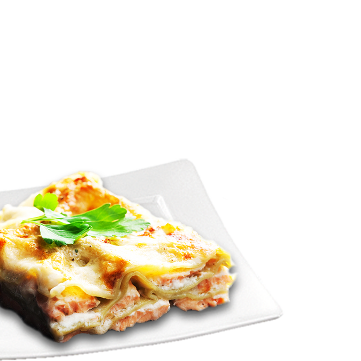 Lasagna Salmon 300 Gr